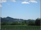 foto Colline tra Fonte Alto e Paderno del Grappa